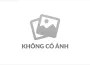 AGR cung cấp những dịch vụ nào?